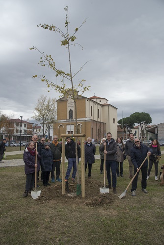 alberi