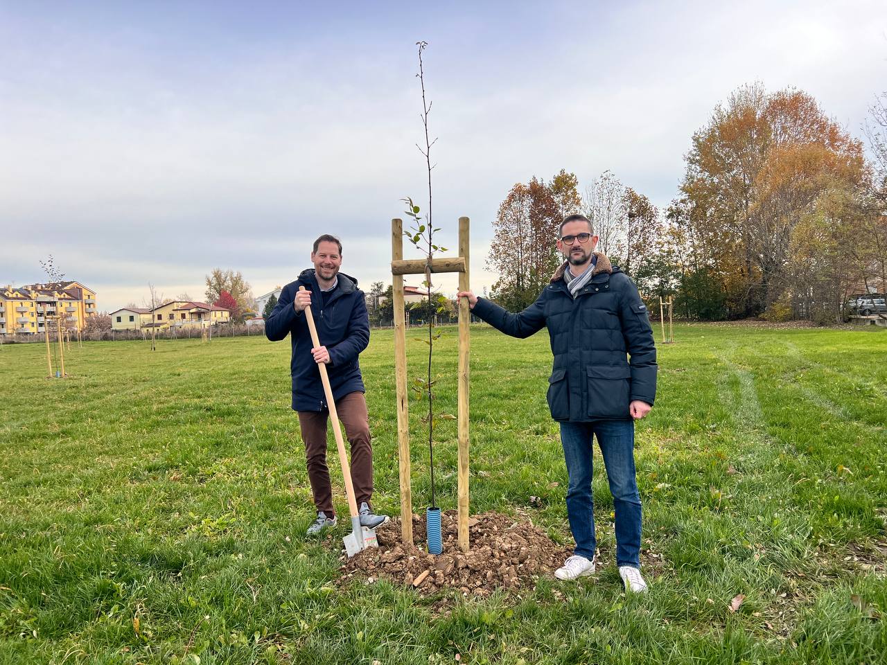 messa a dimora alberi